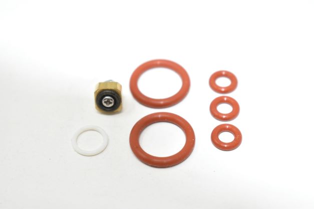 Steam Valve Rebuild Kit